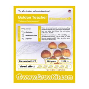 Golden Teacher 2100