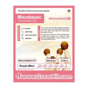 Mazatapec 2100