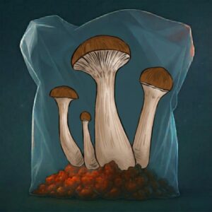 GROWKIT MCKENNAII FULL AUTO 2200ML