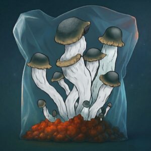 GROWKIT YETI M2M FULL AUTO 2200ML